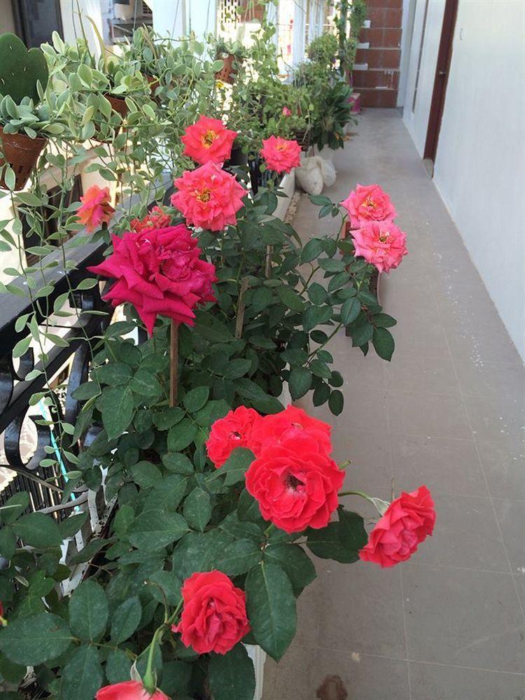 The Flora Boutique Hotel Phnom Penh Exterior photo